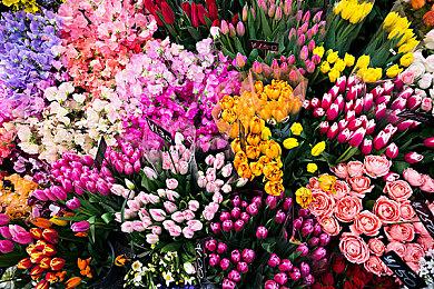 《刺客信条：影》“淡路之爪”DLC详情 将有伪装成市民的敌人